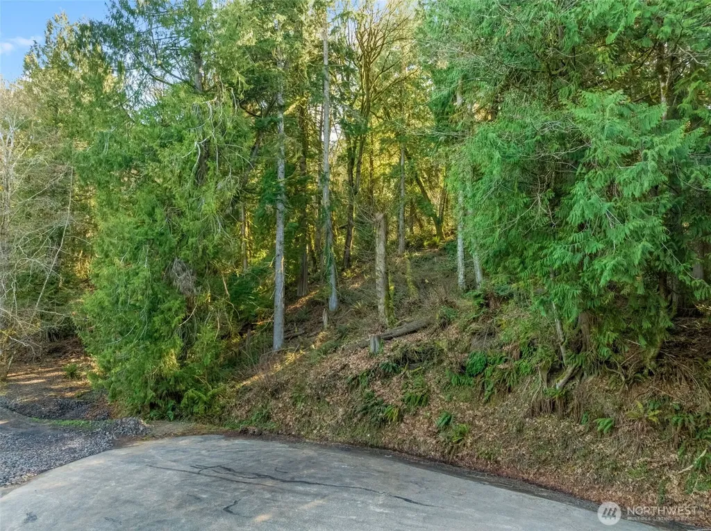 0 Talmo Drive NW Gig Harbor WA 98332