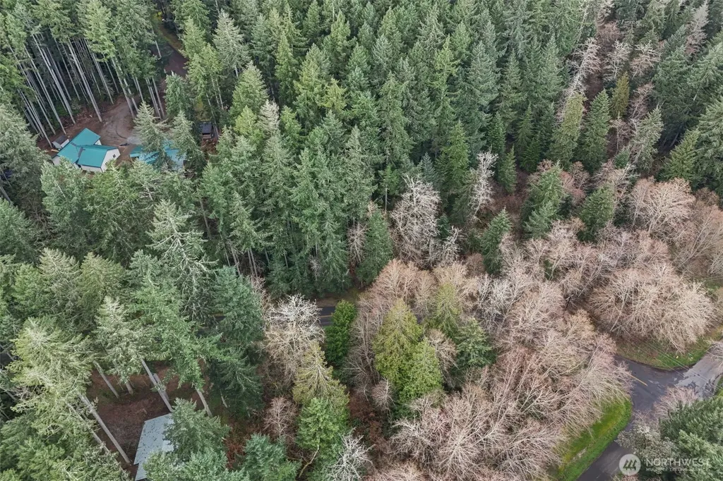12613 Camus Road Anderson Island WA 98303