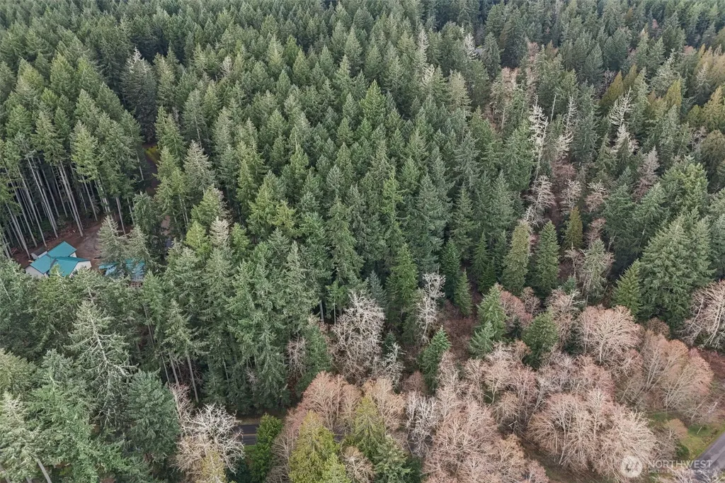 12613 Camus Road Anderson Island WA 98303