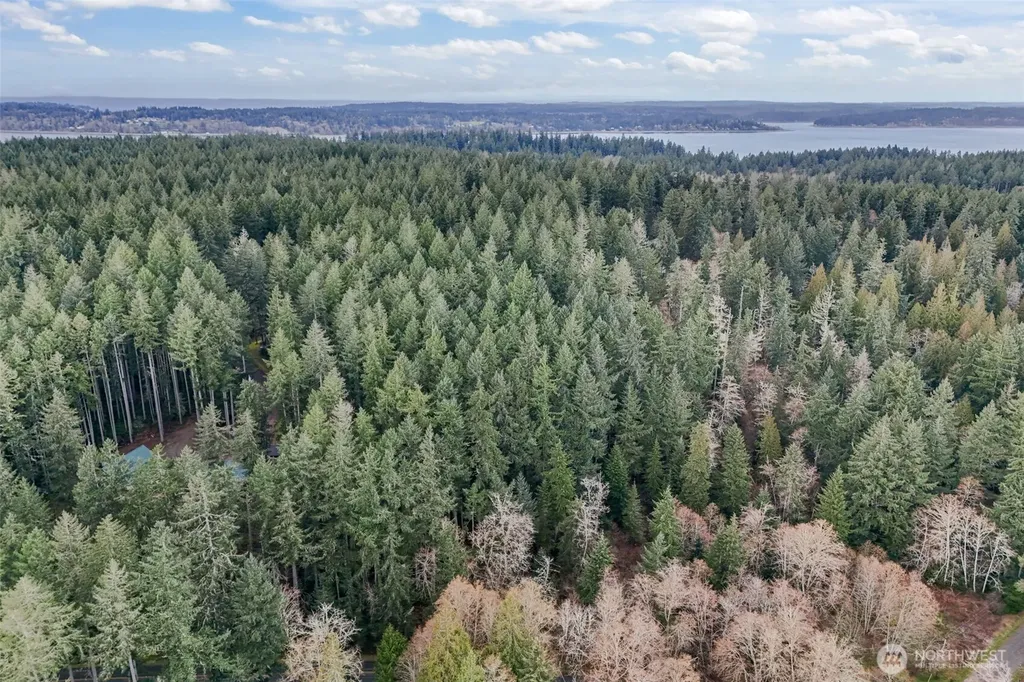 12613 Camus Road Anderson Island WA 98303