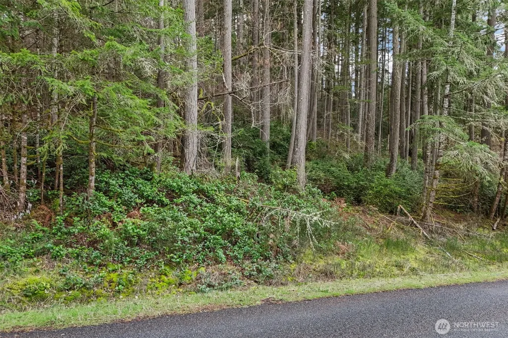12613 Camus Road Anderson Island WA 98303