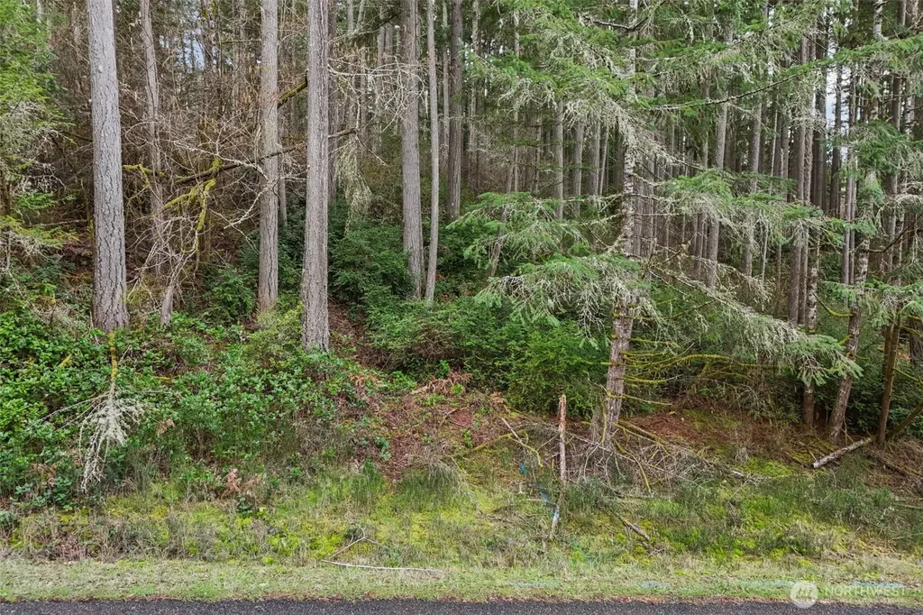 12613 Camus Road Anderson Island WA 98303