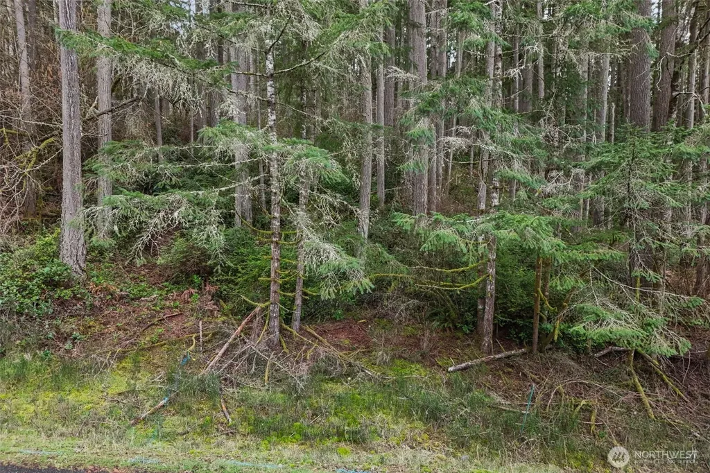 12613 Camus Road Anderson Island WA 98303