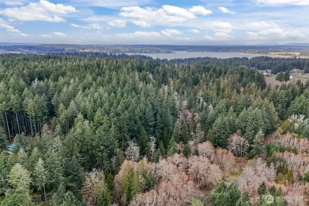 12613 Camus Road Anderson Island WA 98303