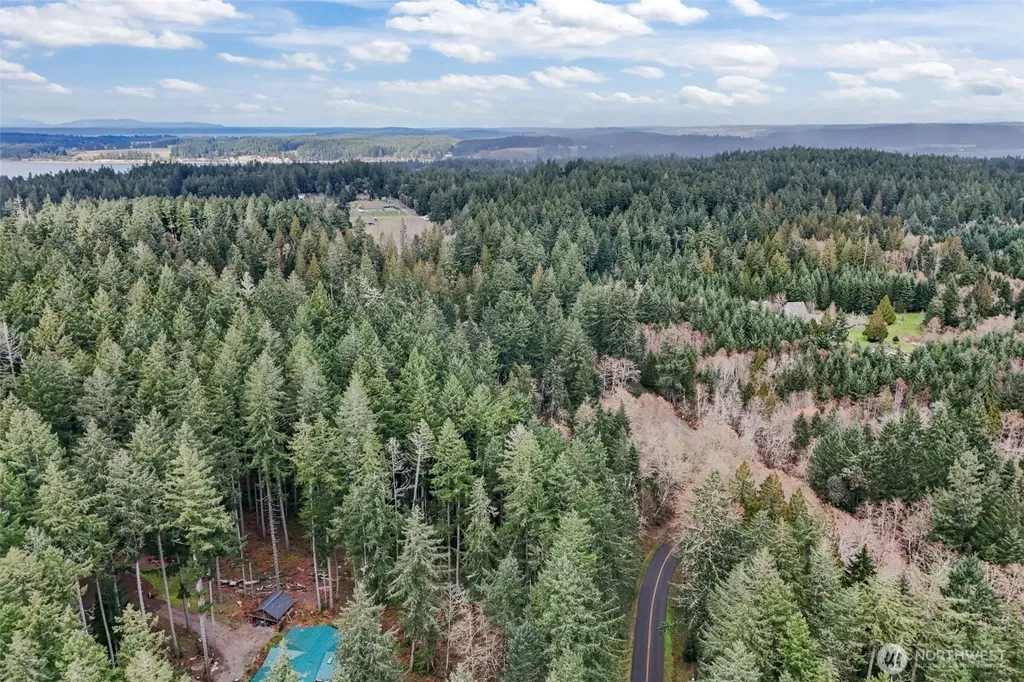 12613 Camus Road Anderson Island WA 98303
