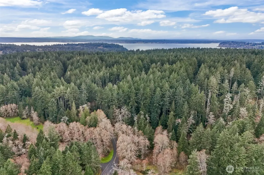 12613 Camus Road Anderson Island WA 98303