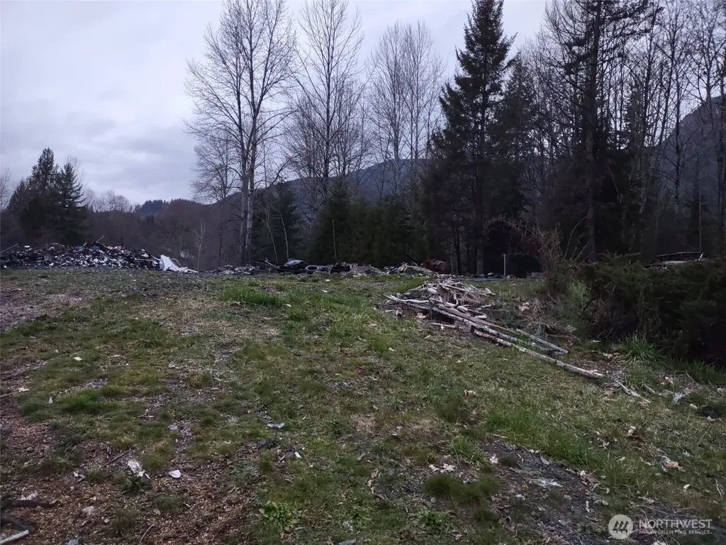 140 Kiona Road Randle WA 98377