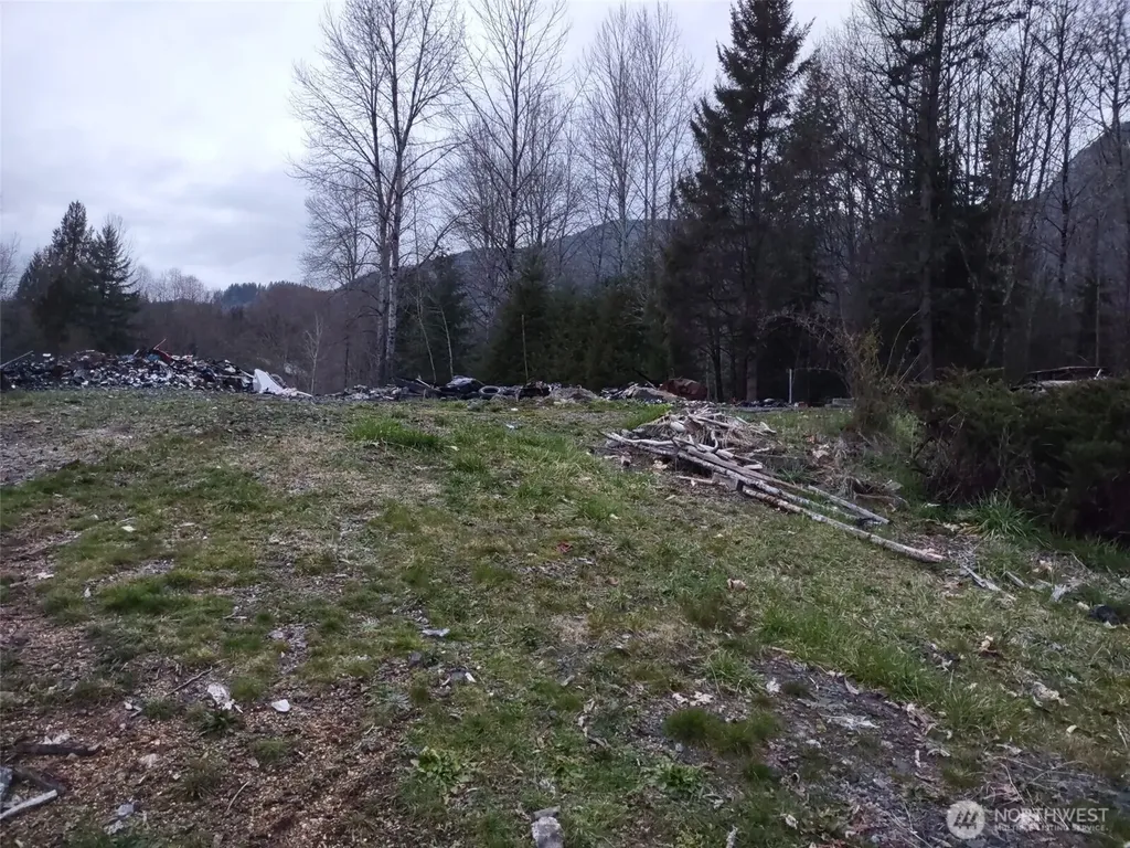 140 Kiona Road Randle WA 98377