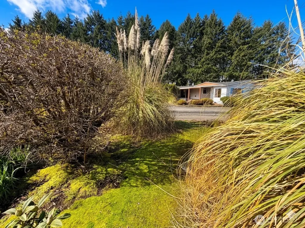 4806 Cushman Road NE Olympia WA 98506