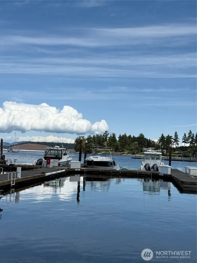 258 Armadale Road Friday Harbor WA 98250