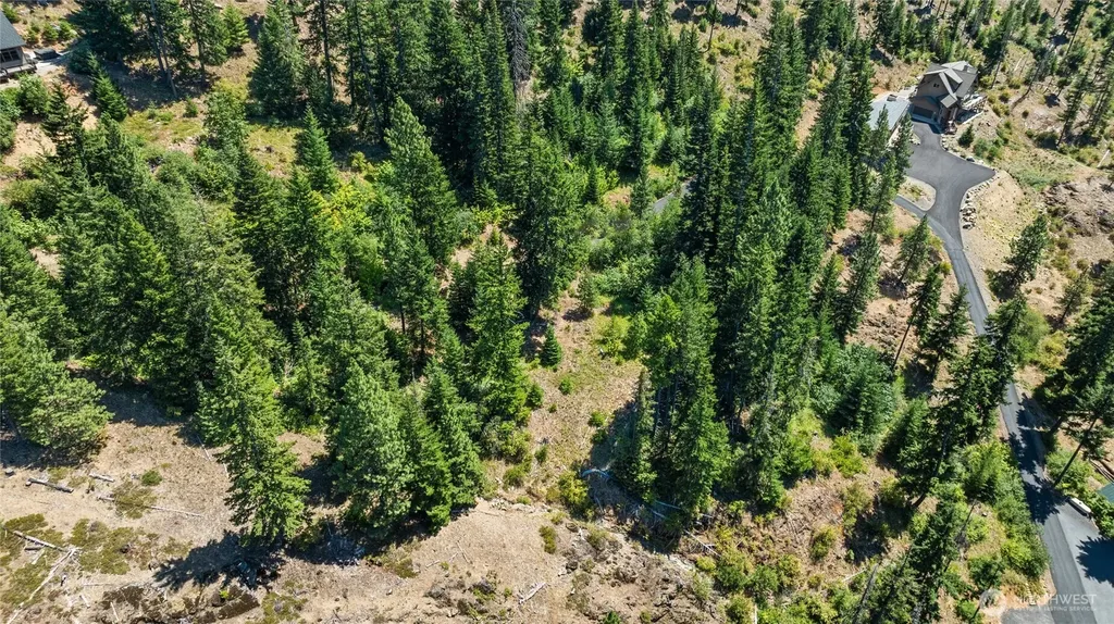 7 Carillon Cove Drive Ronald WA 98940