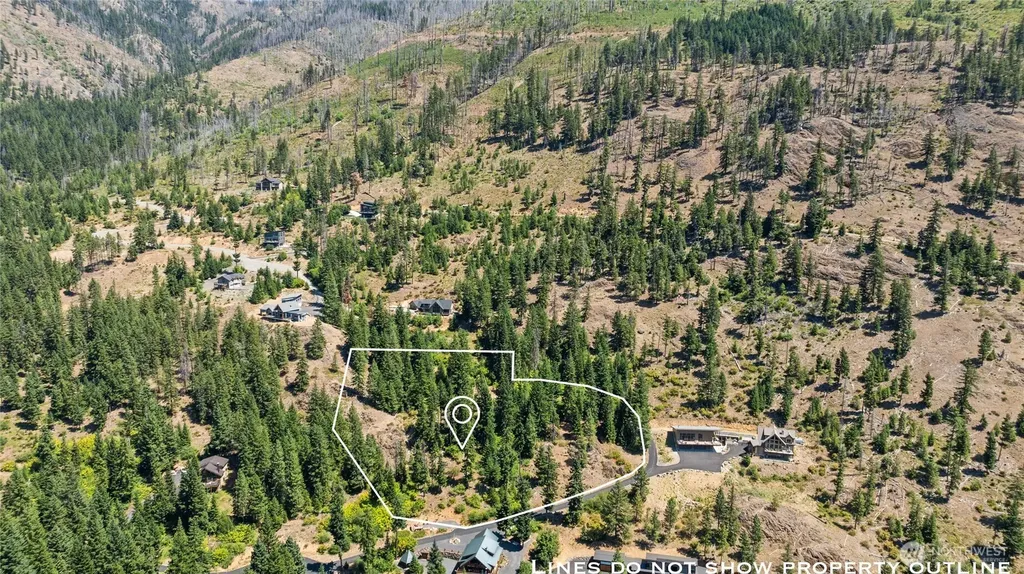 7 Carillon Cove Drive Ronald WA 98940