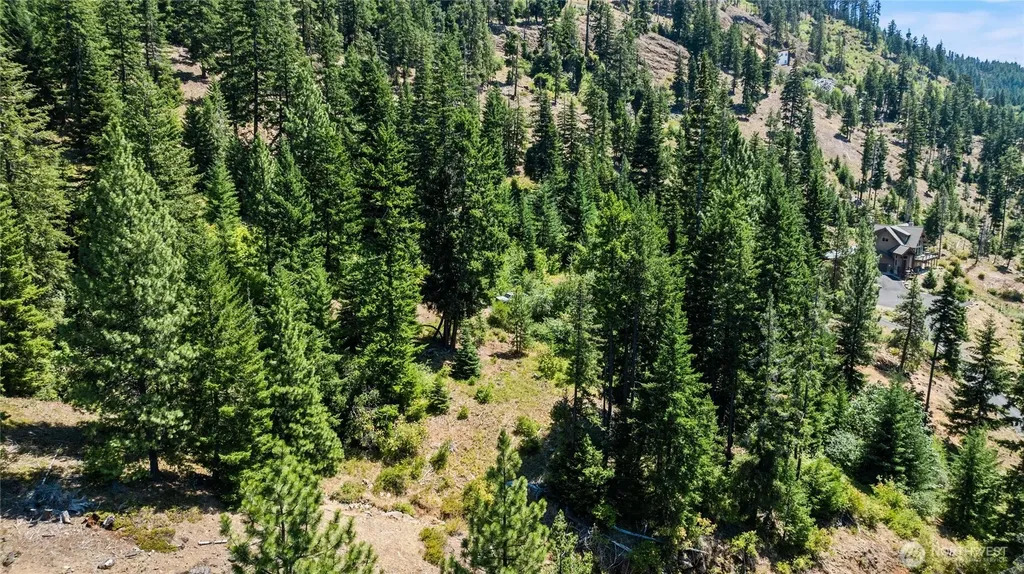 7 Carillon Cove Drive Ronald WA 98940