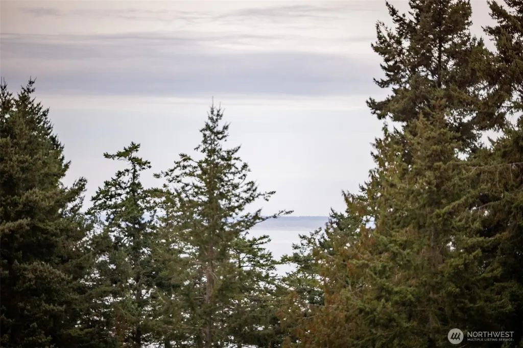 382 Discovery View Drive Sequim WA 98382