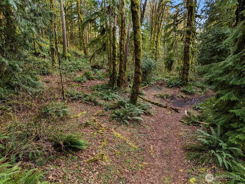 16423 148th Street NE Arlington WA 98223