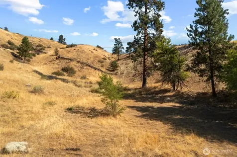 5177 Woodring Canyon Road Cashmere WA 98815