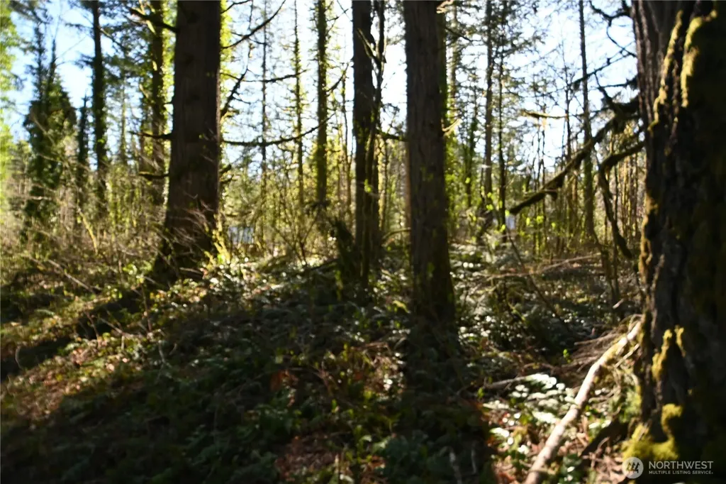 0 Old Cascade Highway Skykomish WA 98288