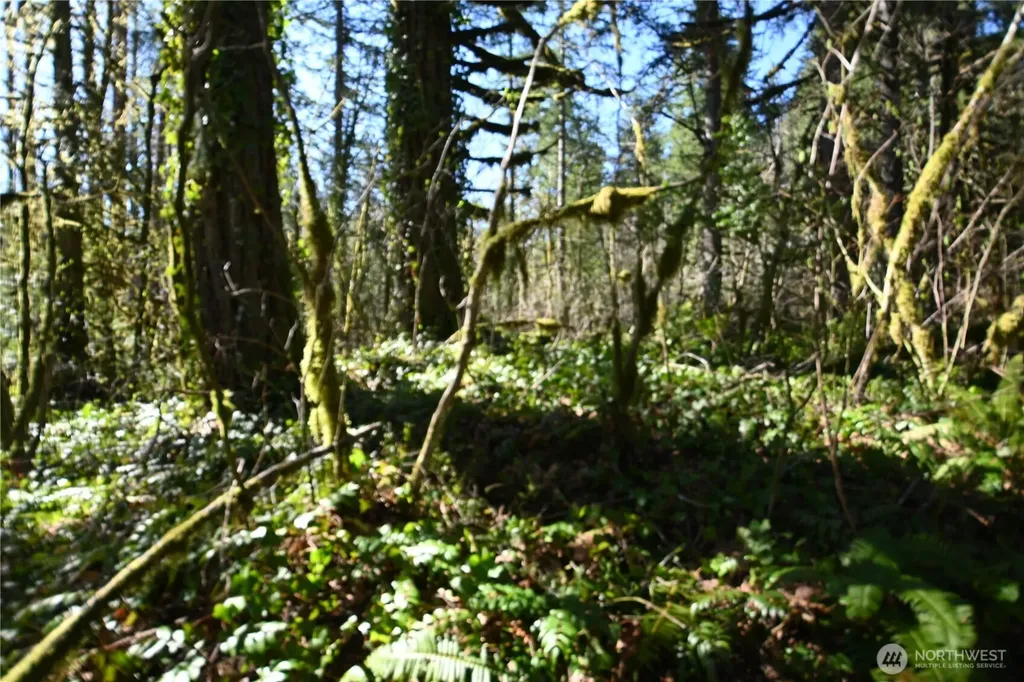 0 Old Cascade Highway Skykomish WA 98288