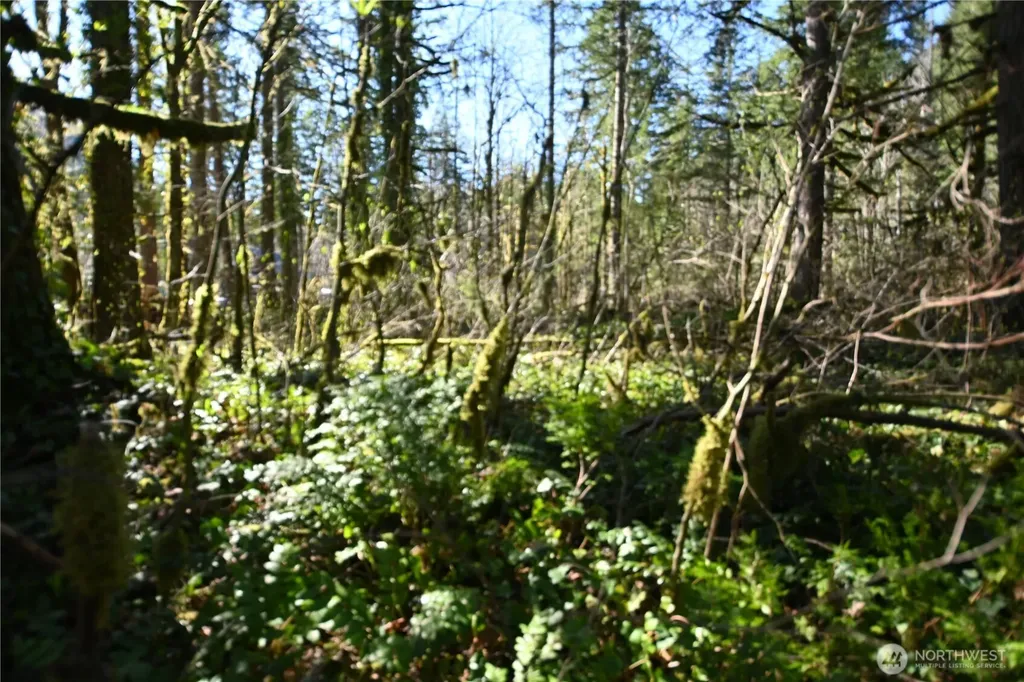 0 Old Cascade Highway Skykomish WA 98288