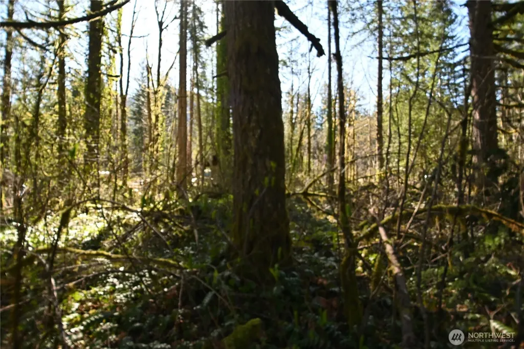 0 Old Cascade Highway Skykomish WA 98288