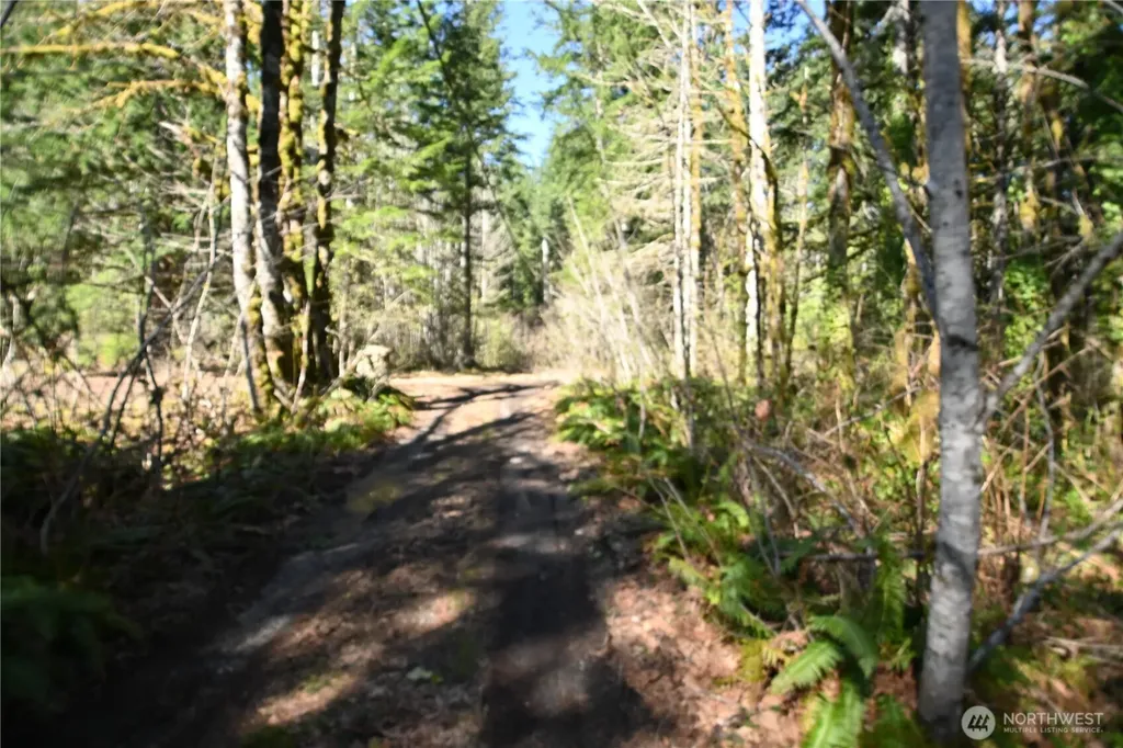 0 Old Cascade Highway Skykomish WA 98288