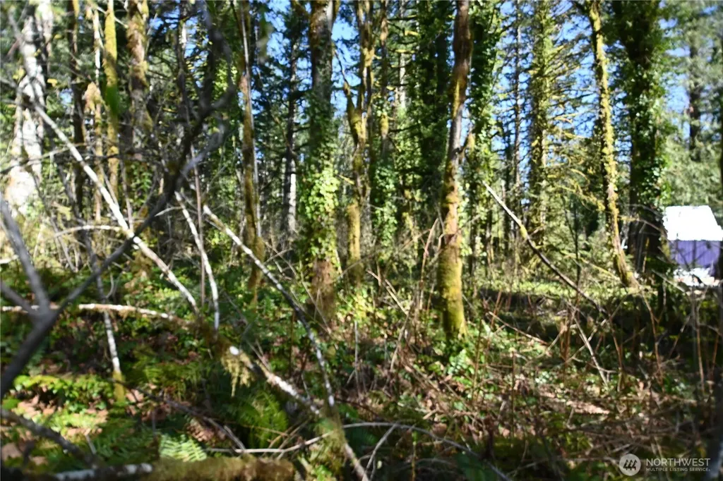 0 Old Cascade Highway Skykomish WA 98288