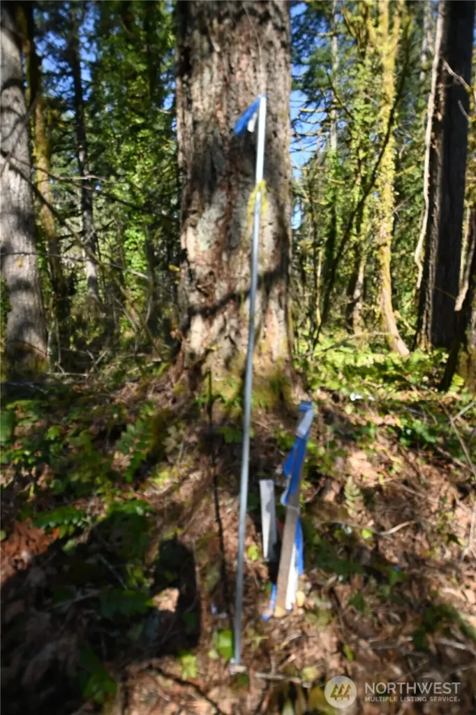 0 Old Cascade Highway Skykomish WA 98288