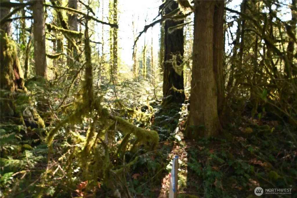 0 Old Cascade Highway Skykomish WA 98288