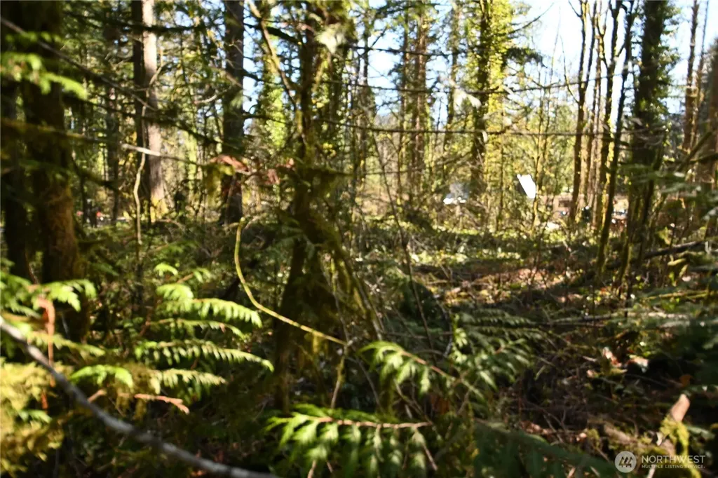 0 Old Cascade Highway Skykomish WA 98288
