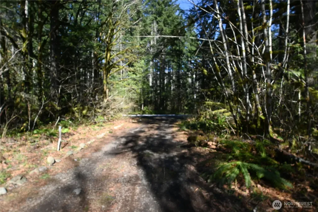 0 Old Cascade Highway Skykomish WA 98288