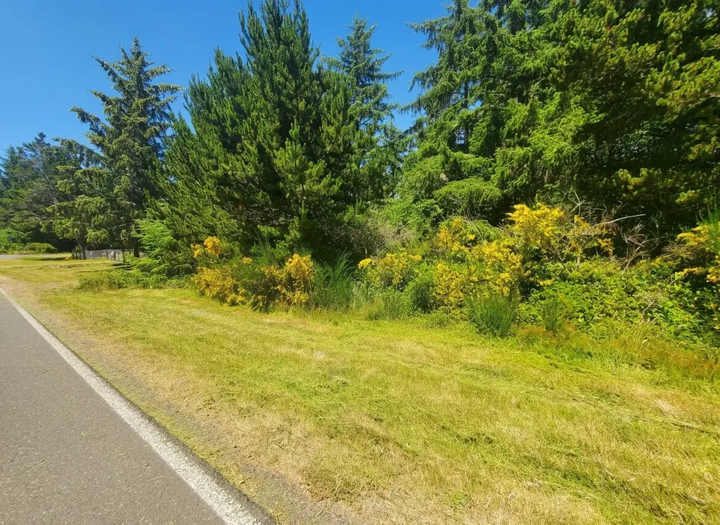 1000 Mt.olympus Avenue SE Ocean Shores WA 98569