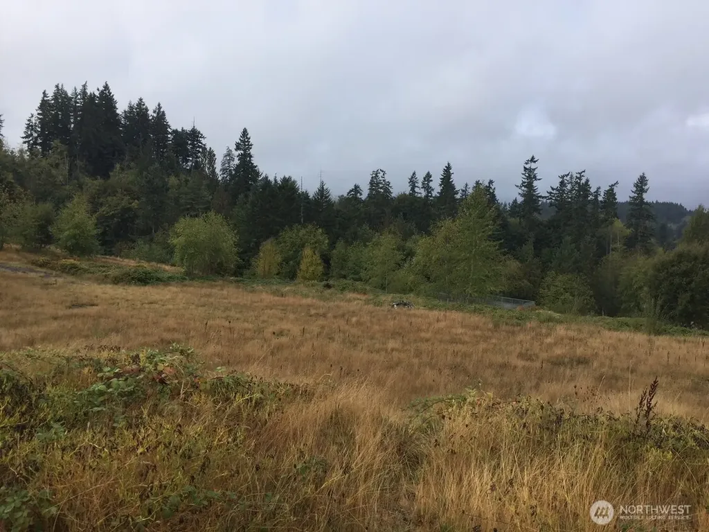 0 Pottery Avenue Port Orchard WA 98366