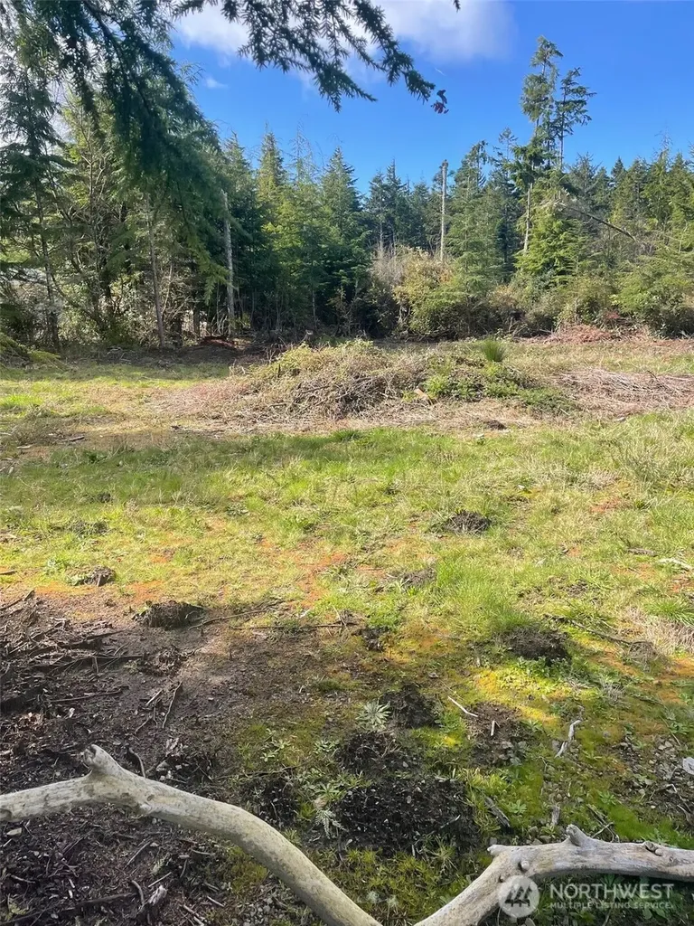 20100 Crane Place Ocean Park WA 98640
