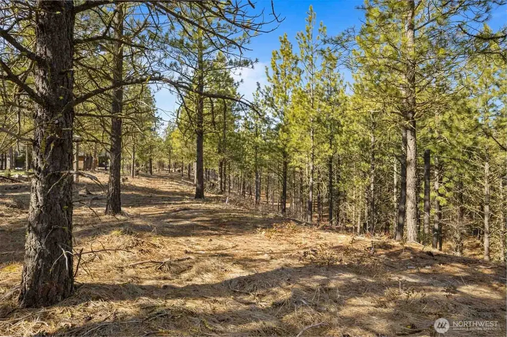 381 Gold Leaf Lane Cle Elum WA 98922