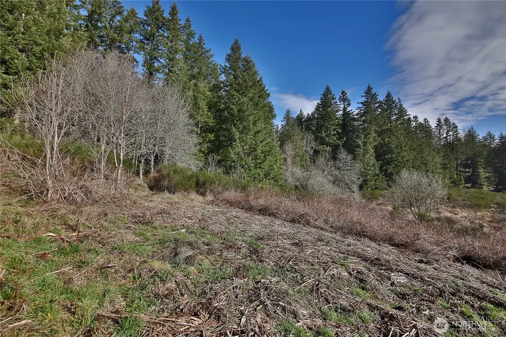 0 Sr 525 Road Langley WA 98260