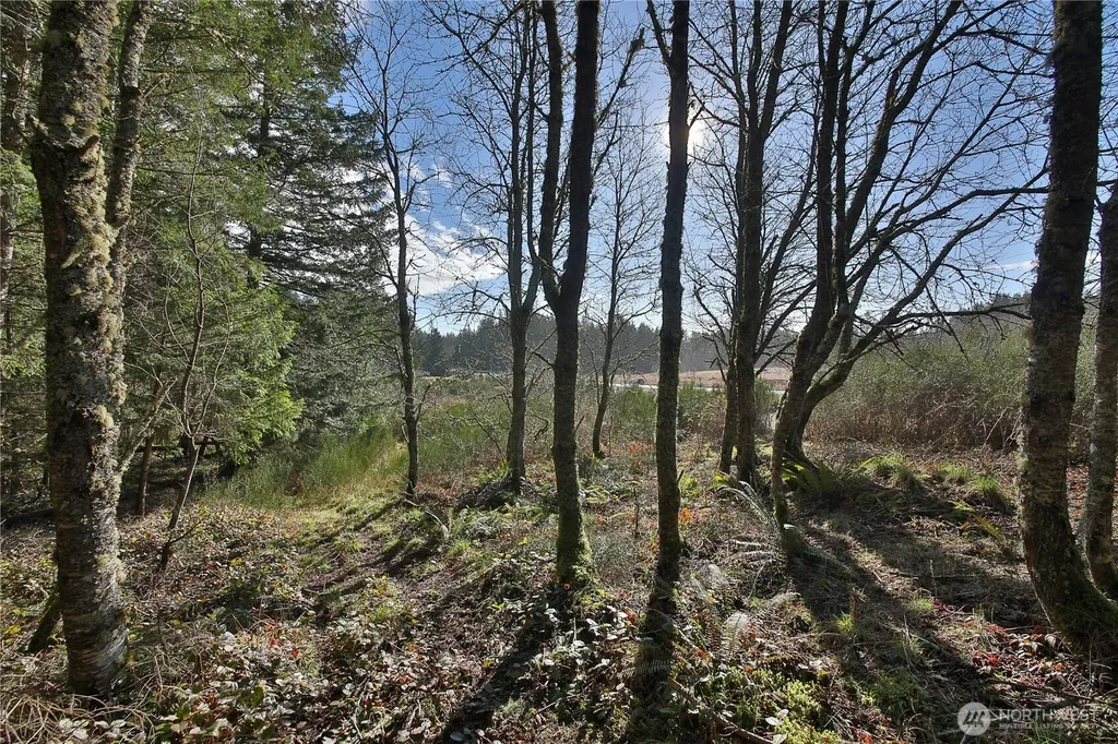 0 Sr 525 Road Langley WA 98260