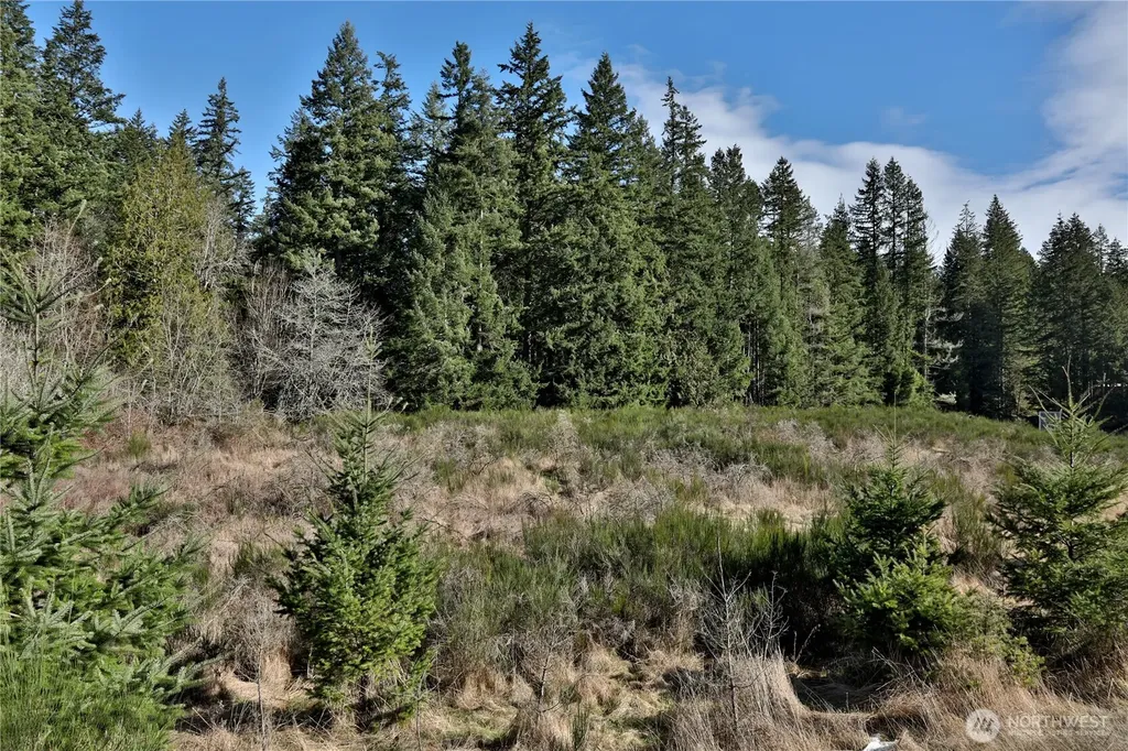 0 Sr 525 Road Langley WA 98260