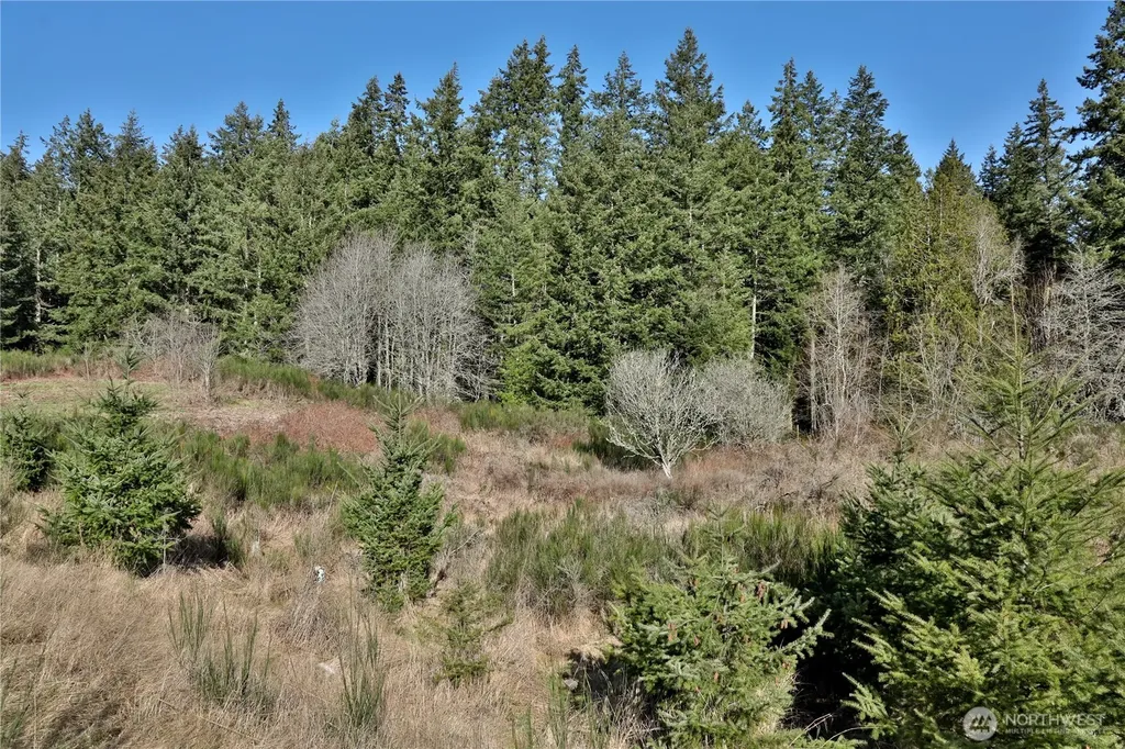 0 Sr 525 Road Langley WA 98260