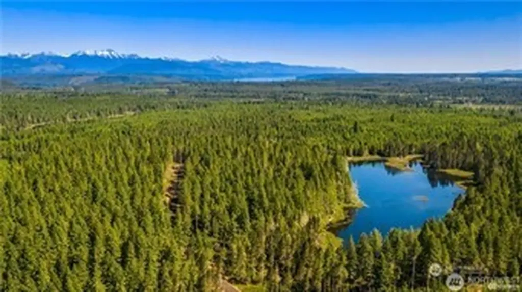 25 W Clear Lake Drive Shelton WA 98584