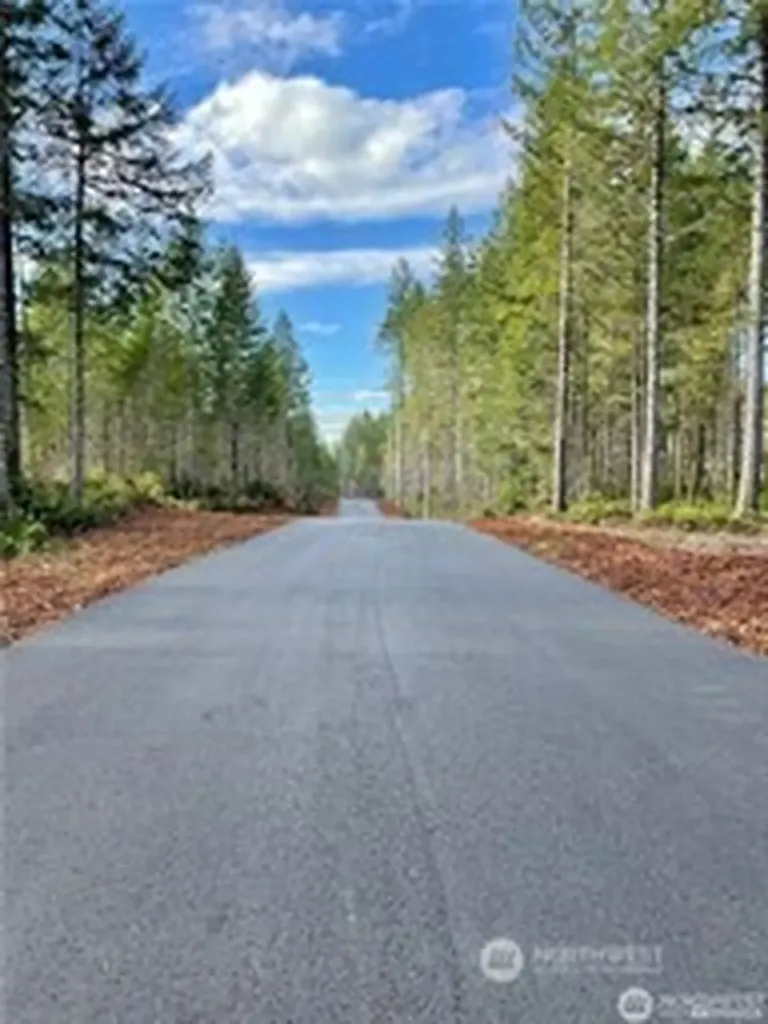 25 W Clear Lake Drive Shelton WA 98584