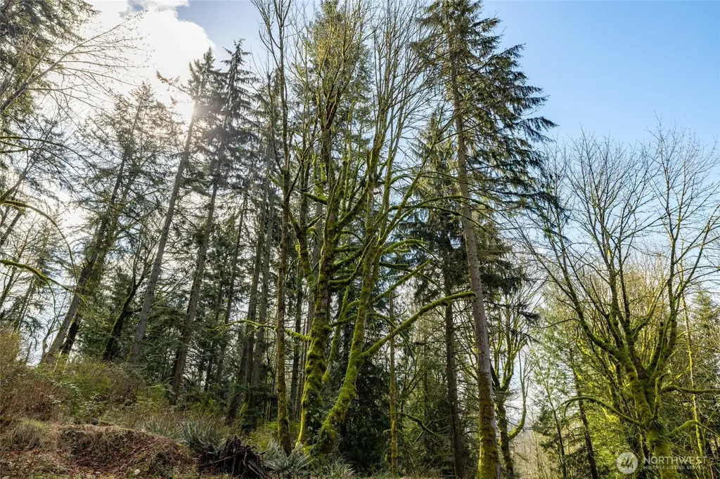 29631 124th Avenue NE Arlington WA 98223