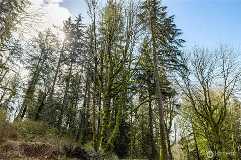 29631 124th Avenue NE Arlington WA 98223