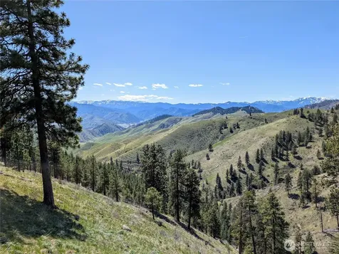 1021 Chicken Farm Lane Cashmere WA 98815
