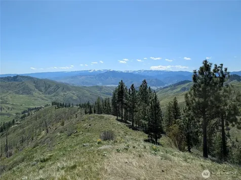 1021 Chicken Farm Lane Cashmere WA 98815