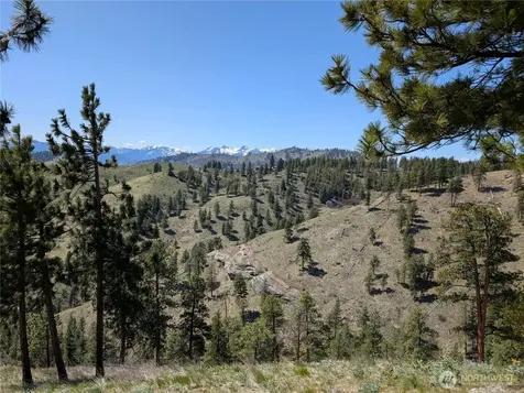 1021 Chicken Farm Lane Cashmere WA 98815