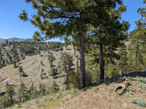 1021 Chicken Farm Lane Cashmere WA 98815