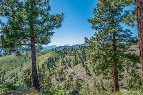 1021 Chicken Farm Lane Cashmere WA 98815