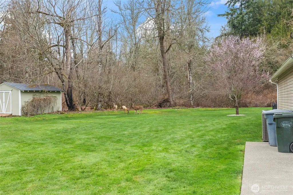 21701 31st Avenue E Spanaway WA 98387