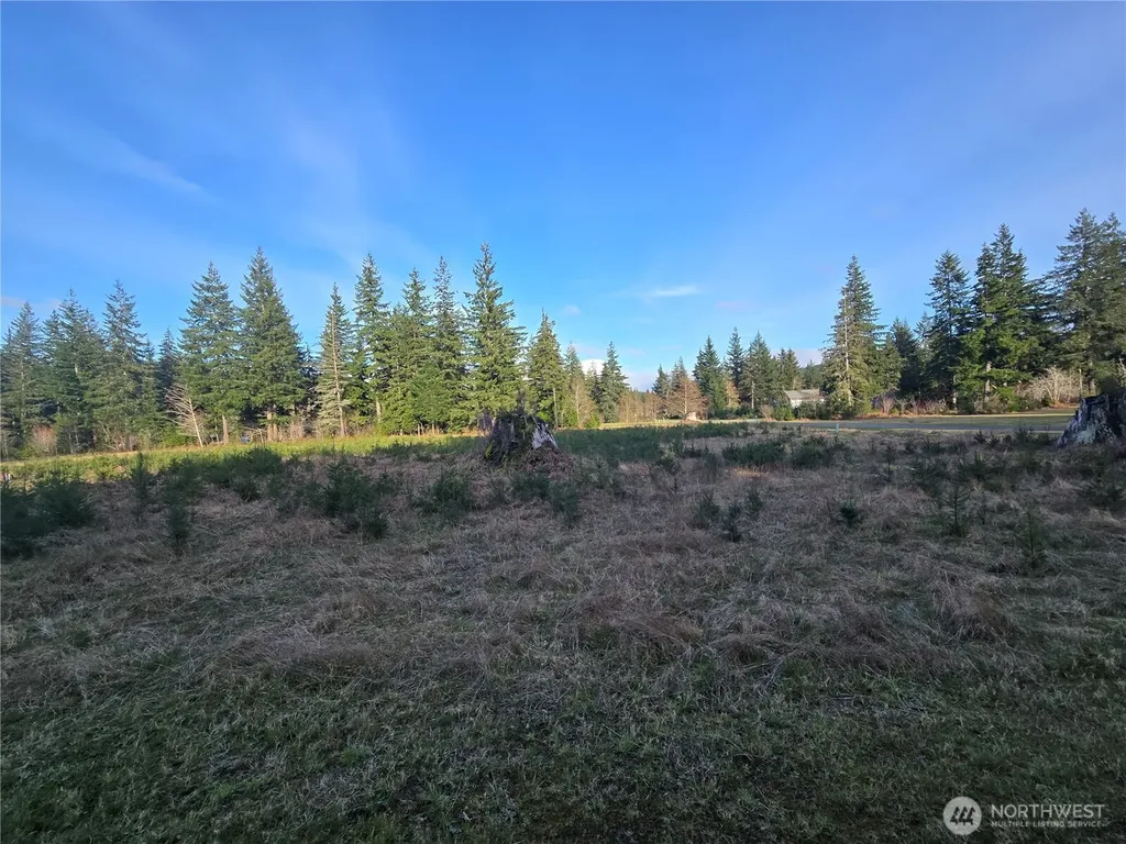 9999 Sawyer Way Forks WA 98331