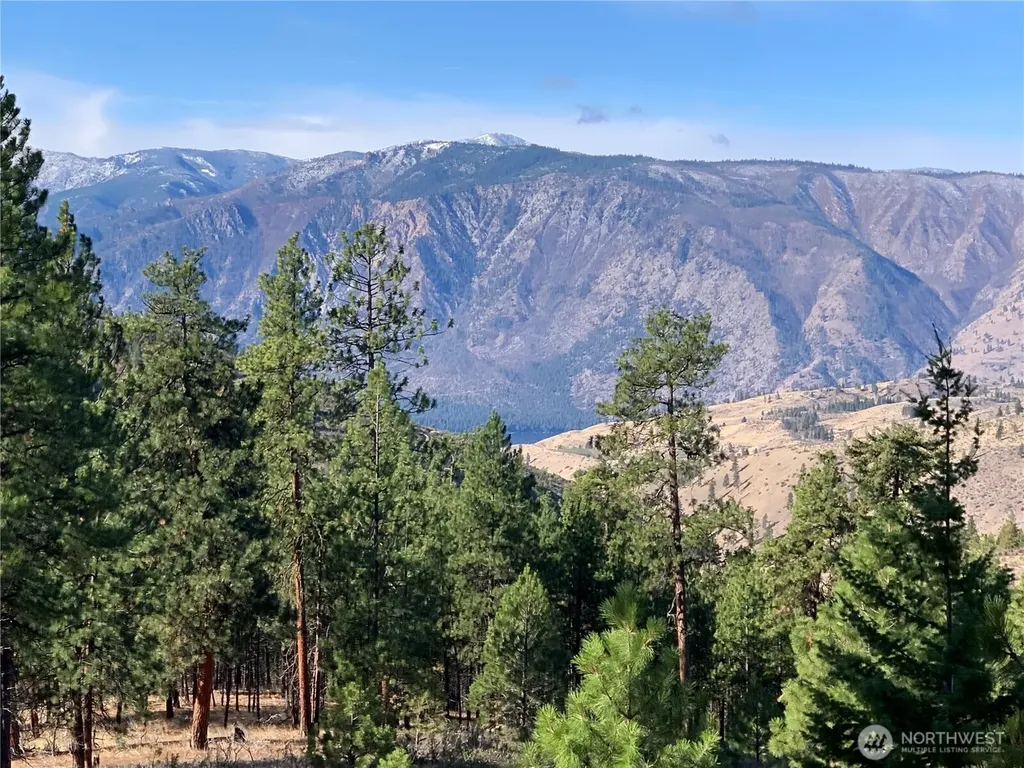 0 Cooper Mountain Road Manson WA 98831